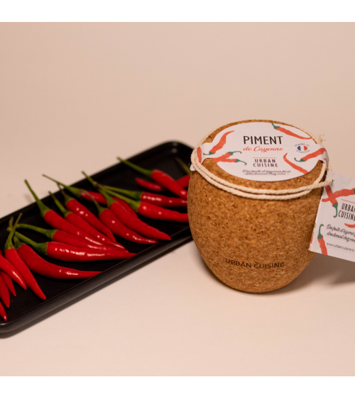 Piment de Cayenne en Pot - Urban Cuisine