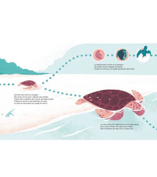 Suis du doigt la tortue de mer - La Cabane bleue